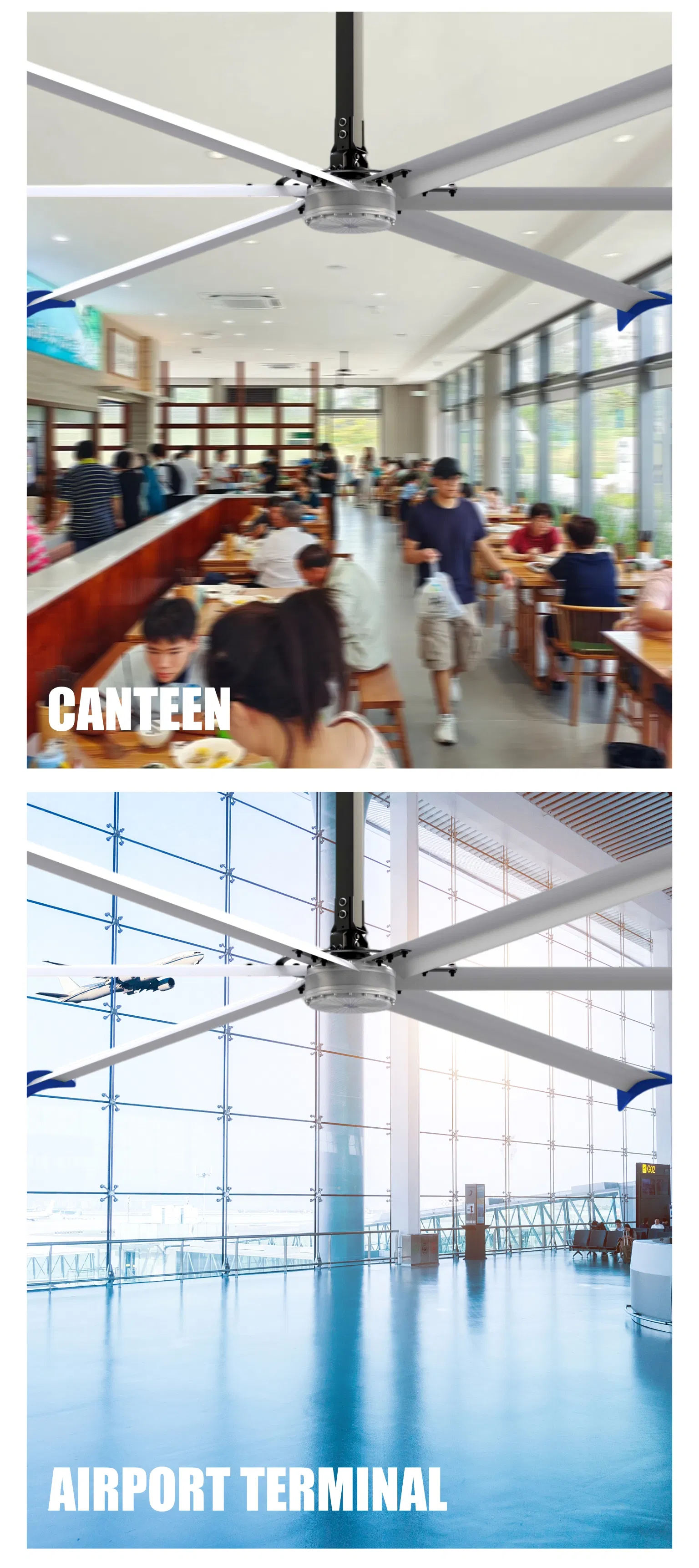 Natural Airflow 3-7.3m Permanent Magnet Industrial Hvls Direct Drive Ceiling Fan