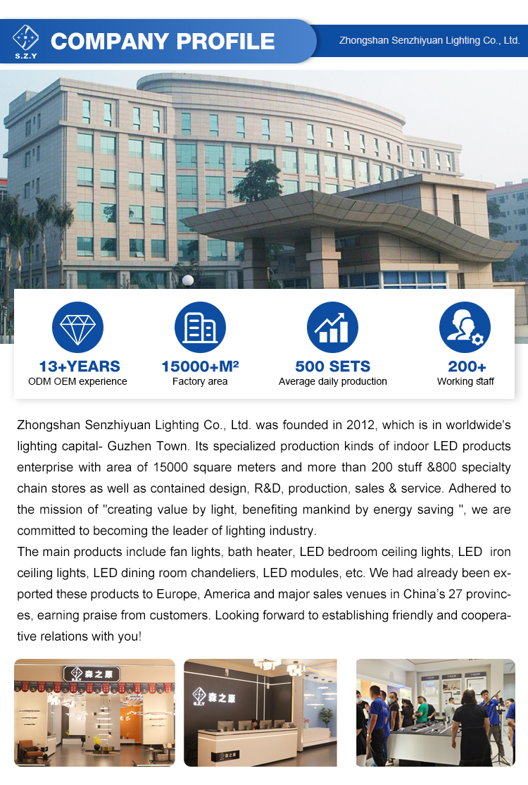 Company Profile 1