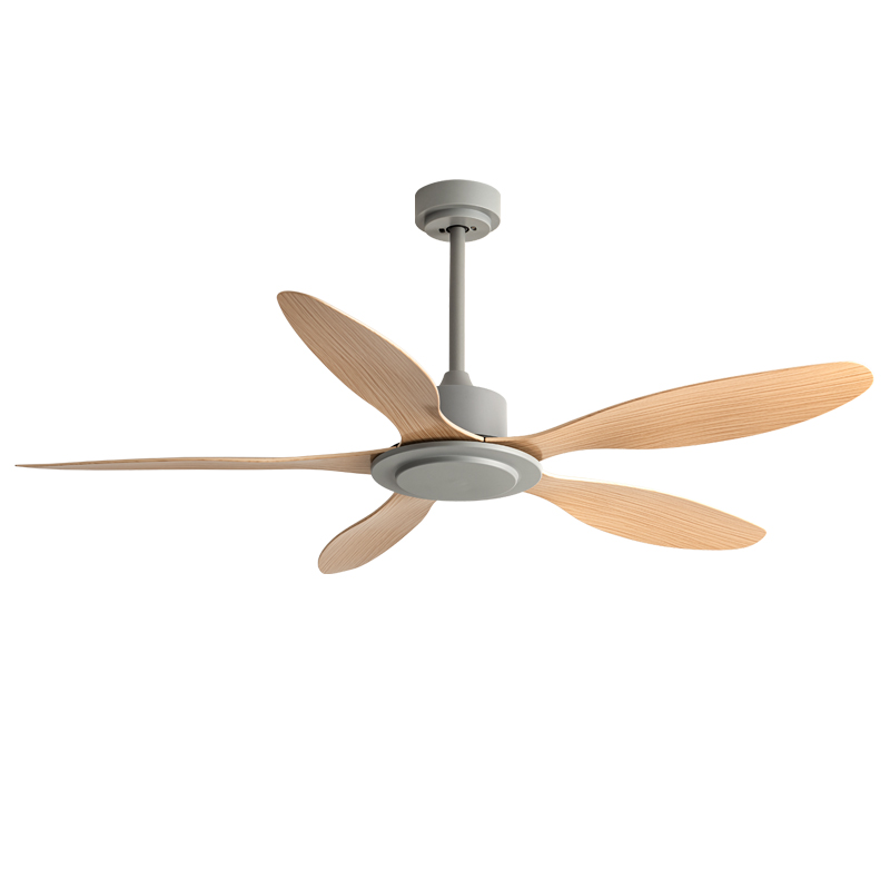 HSG Model 681 BLDC 46 Inch Metal Ceiling Fan with Remote Control Home Decor Without Lamp