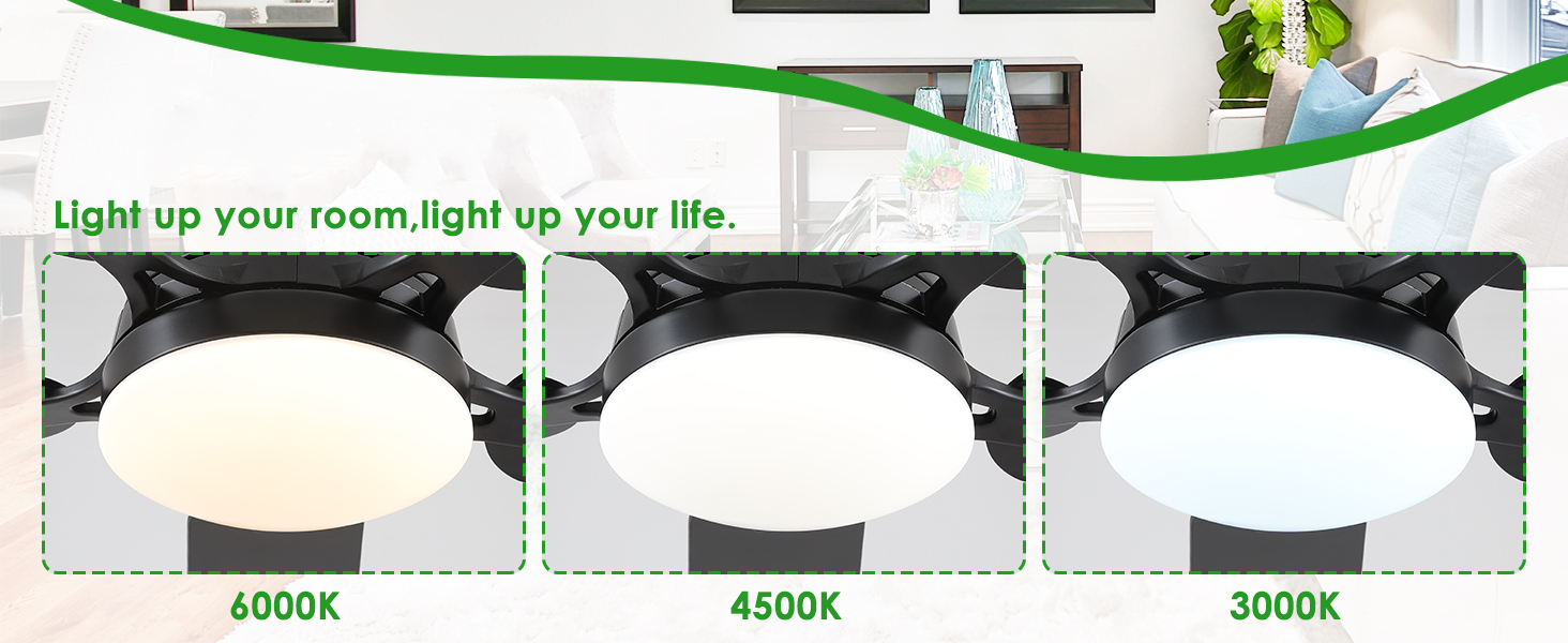 Ceiling Fan Image 3