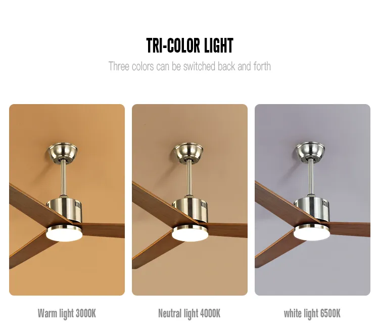 Luxury Ceiling Fan 6