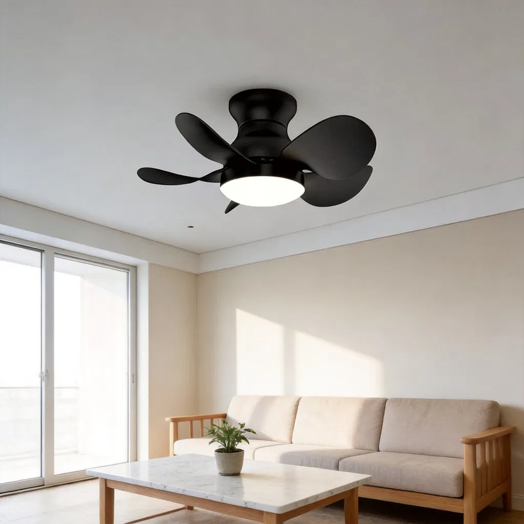 Detailed Fan Photo 5