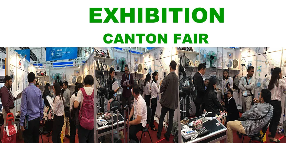 Exhibition Presence