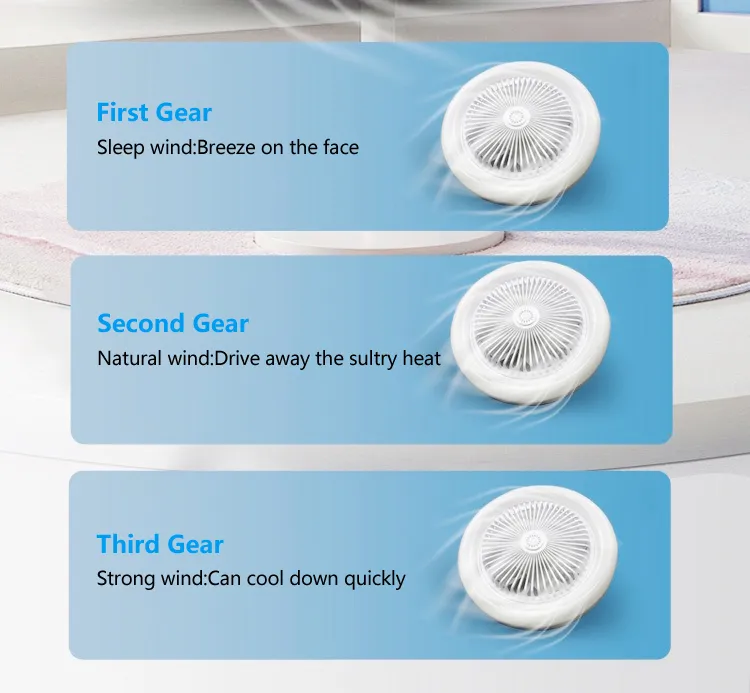 Adjustable Three-gear Wind