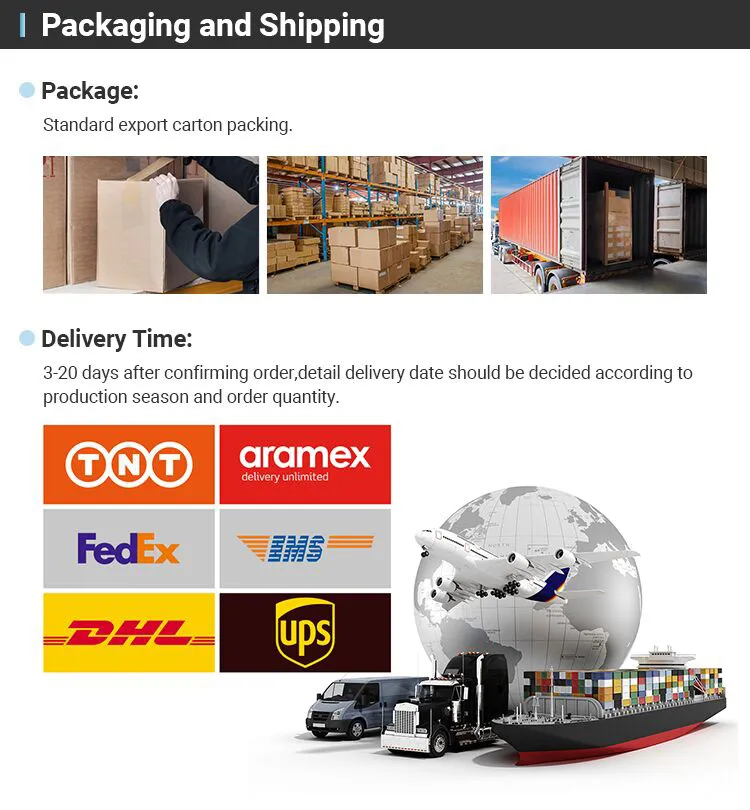 Shipping Arrangements