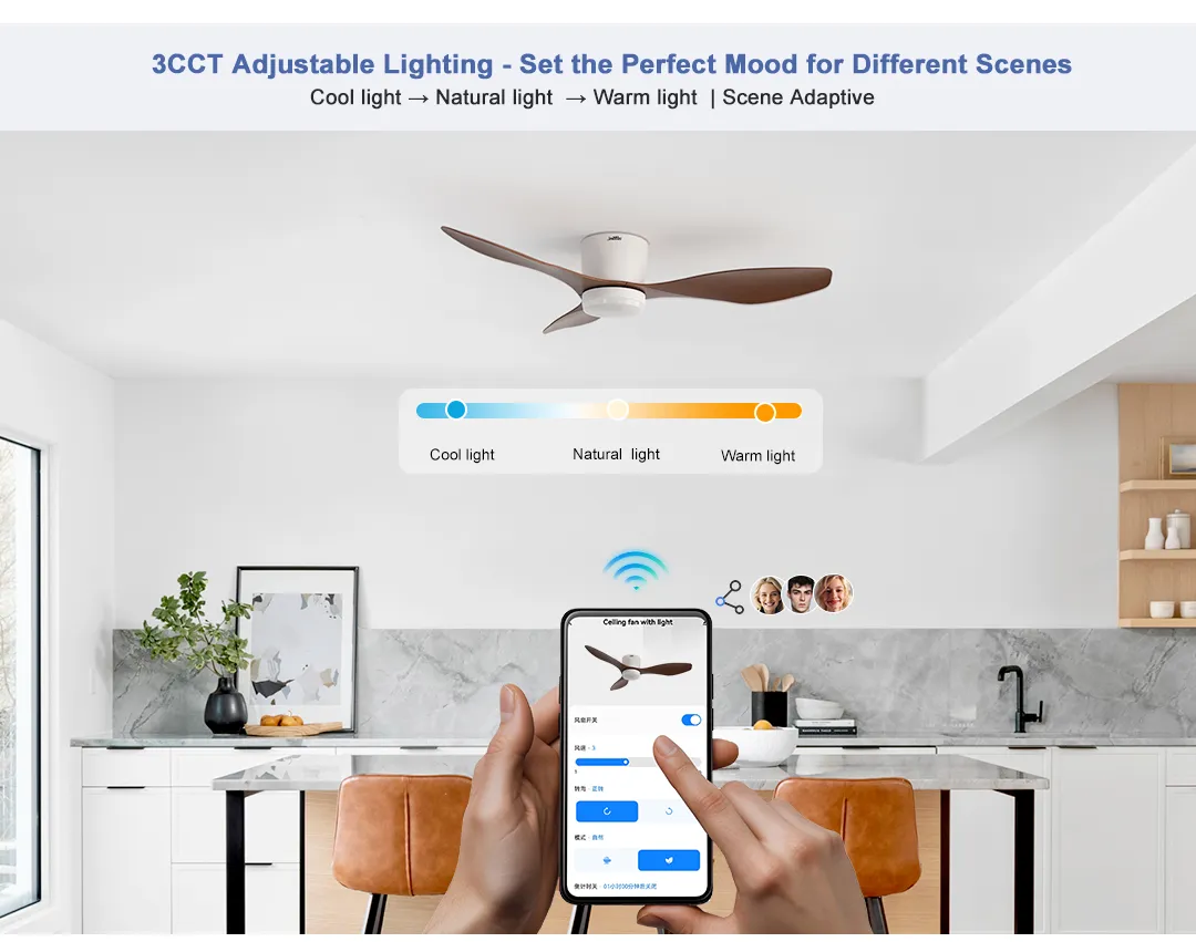 Ceiling Fan Transparent Blade DC Motor Flush Mount ABS Ceiling Fan 2in1 Lighting