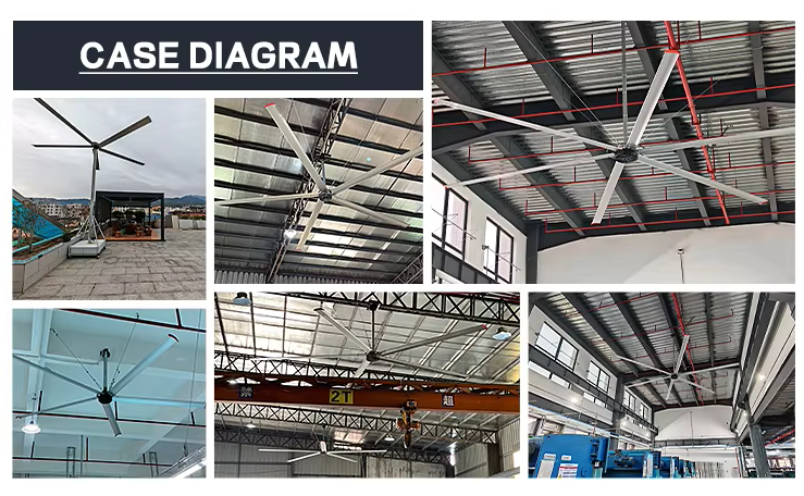Product Specification Diagram 6