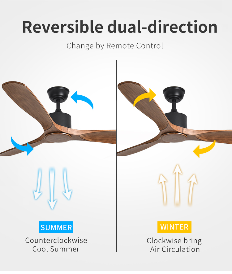 Reversible Dual-direction