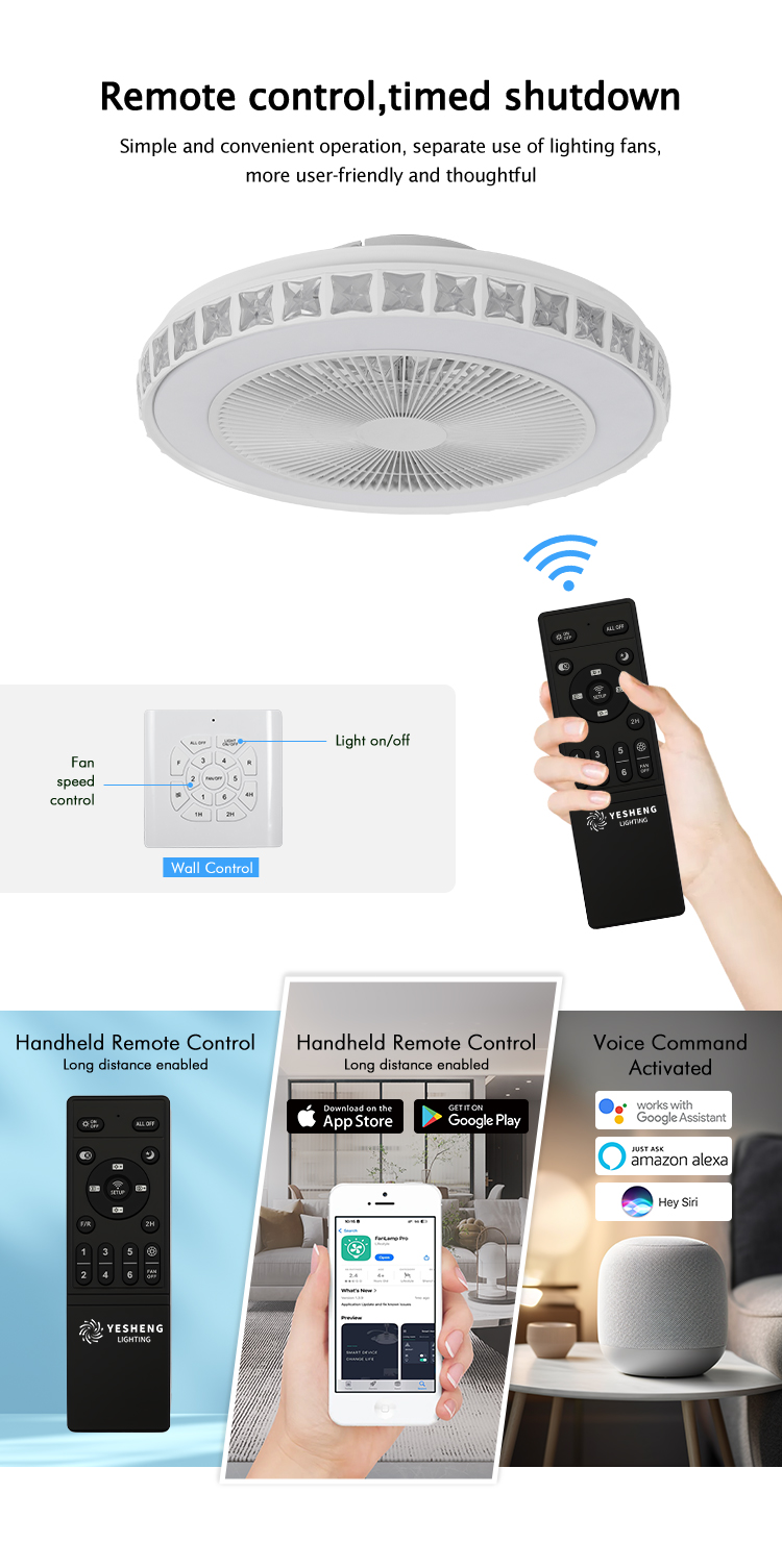 Ceiling Fan Light Detail 2