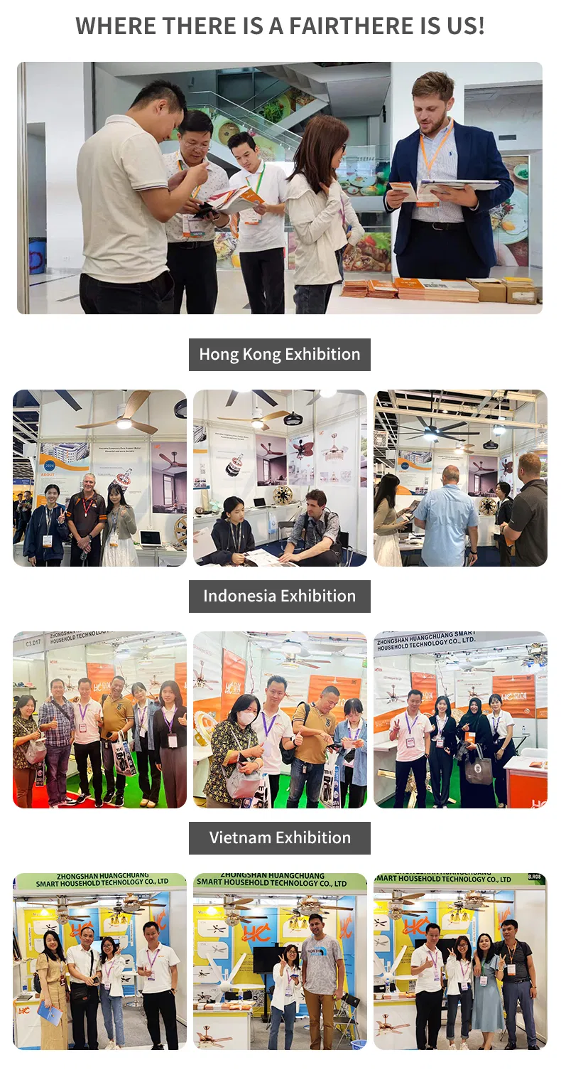 Hc-Factory Price Indoor Smart BLDC Electric Ceiling Fan 3 Blades DC Motor Remote Control Fan Ceiling