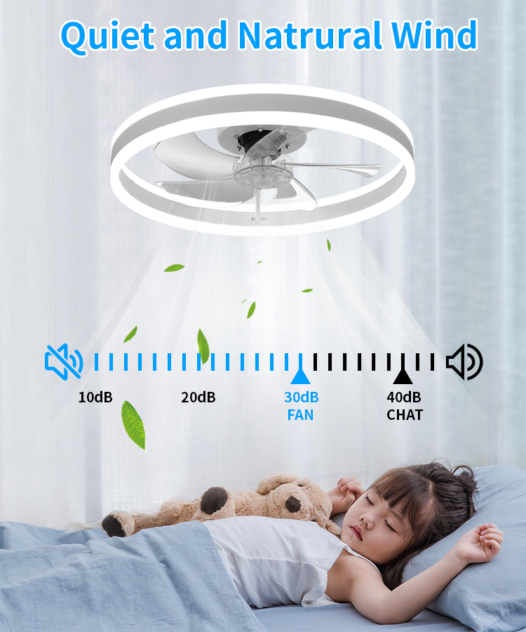 Modern Minimalist Metal Ceiling Fan LED Light Smart APP Control Ultra-Quiet Reversible DC Motor Flush Mount Bedroom 5 Blades