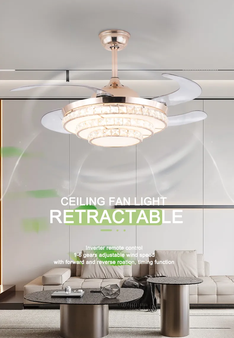 Ceiling Fan Detail 1