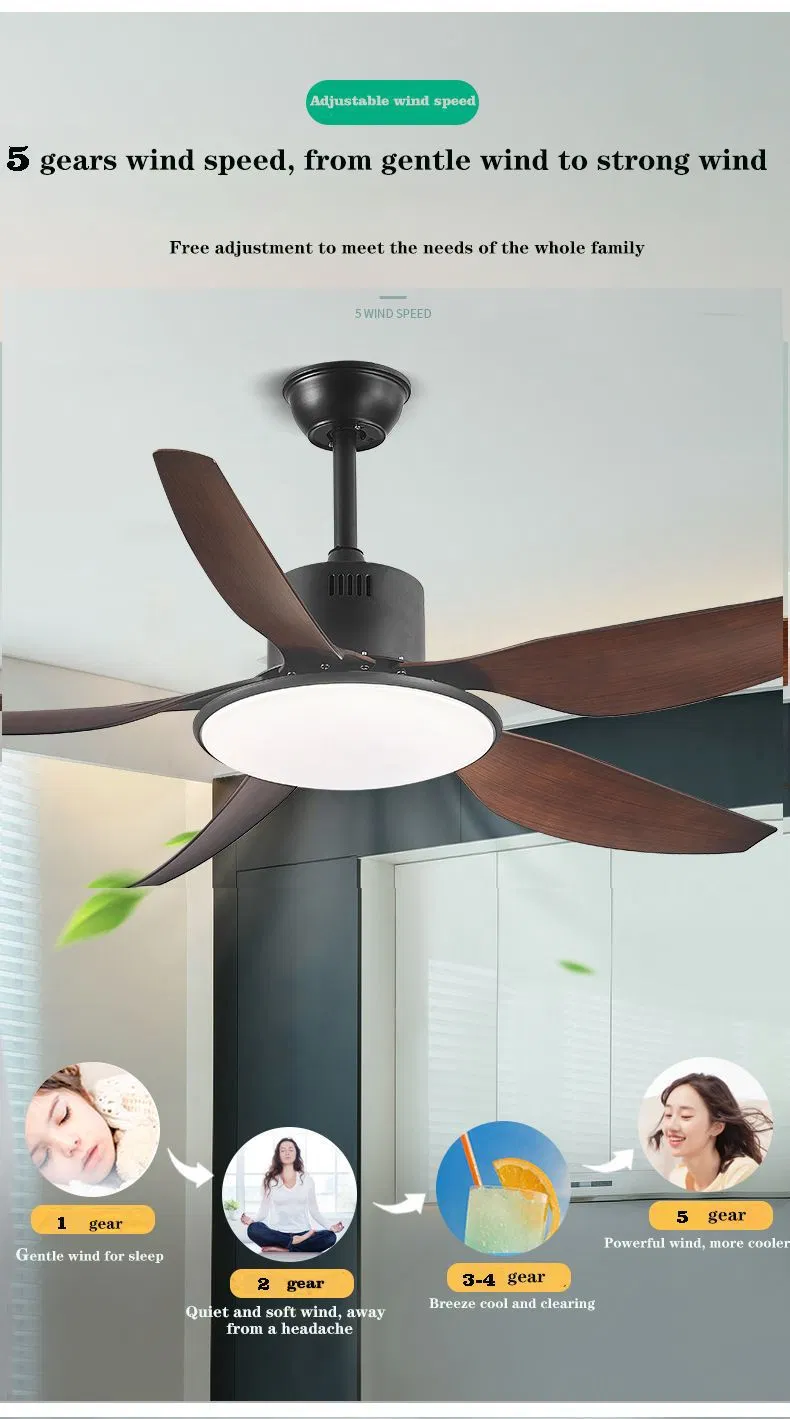 Ceiling Fan Light 2