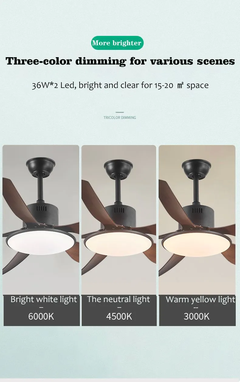 Ceiling Fan Light 4