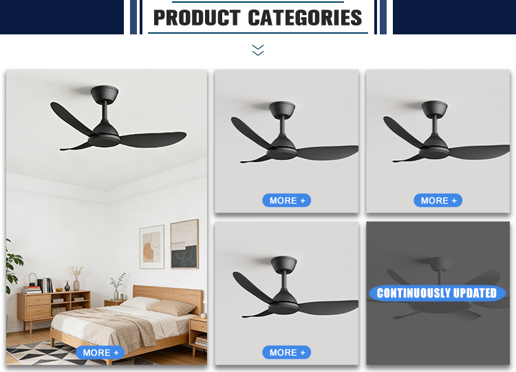 Ceiling Fan Feature 2