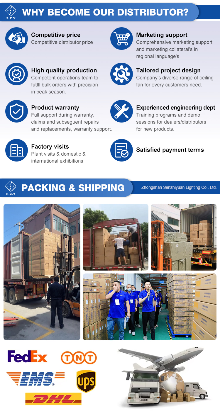 Company Profile 5