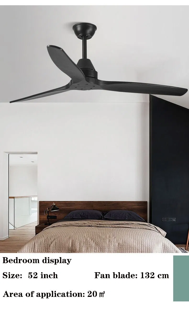 Ceiling Fan Detail 6
