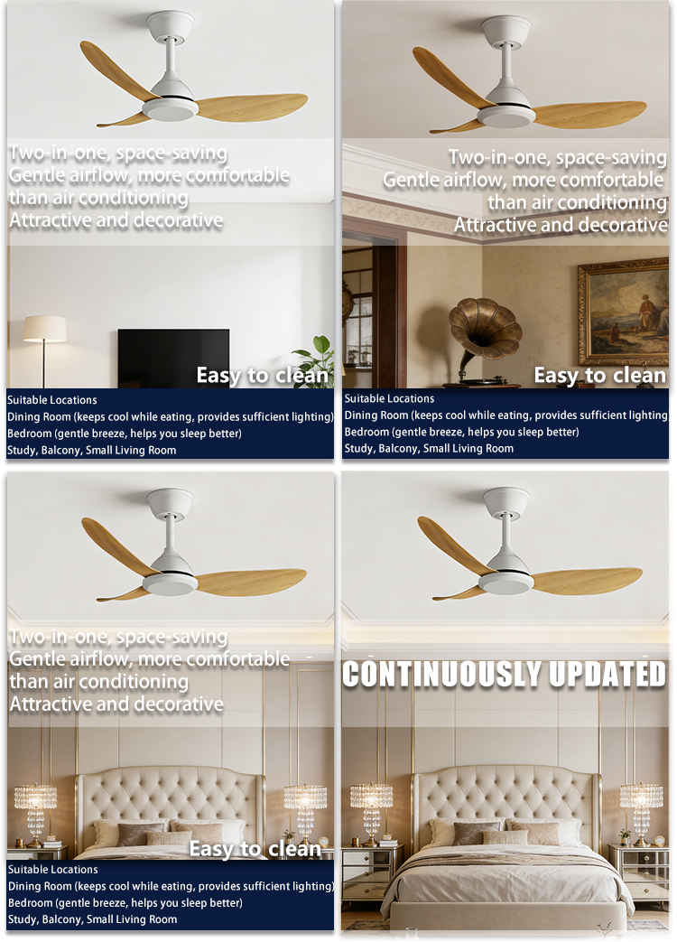 Ceiling Fan Detail 1