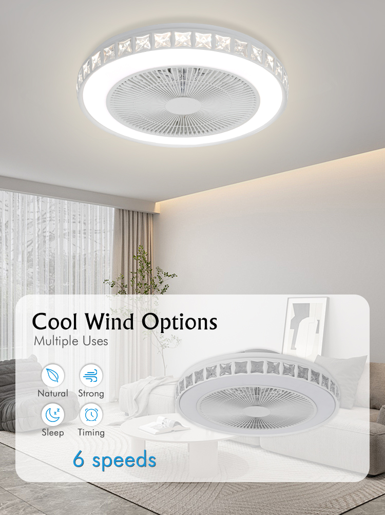 Ceiling Fan Light Detail 1