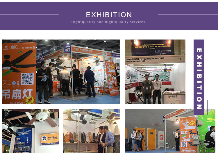 Exhibition Show
