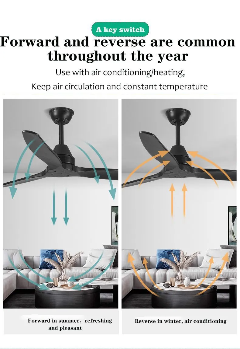 Ceiling Fan Detail 2