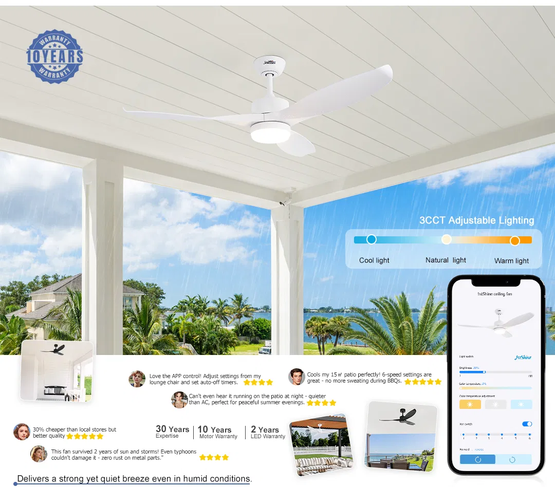 Ceiling Fan Waterproof IP65 Outdoor Smart Control Black Ceiling Fan With ABS Blades