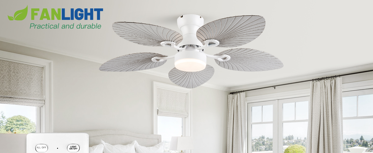 Ceiling Fan Detail View 1