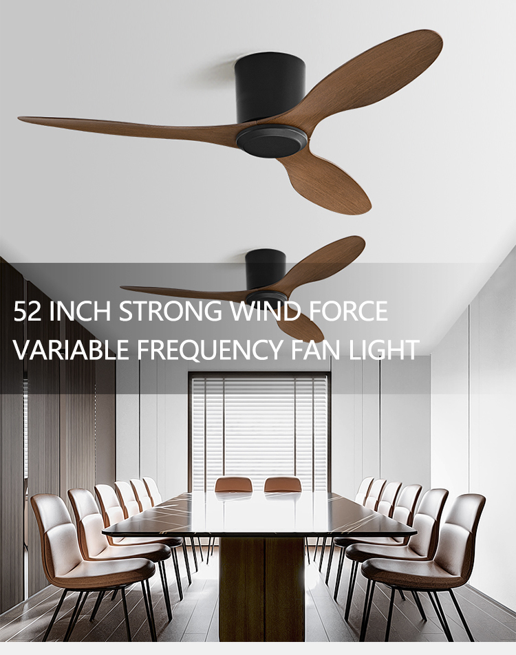 Ceiling Fan Usage Showcase 1