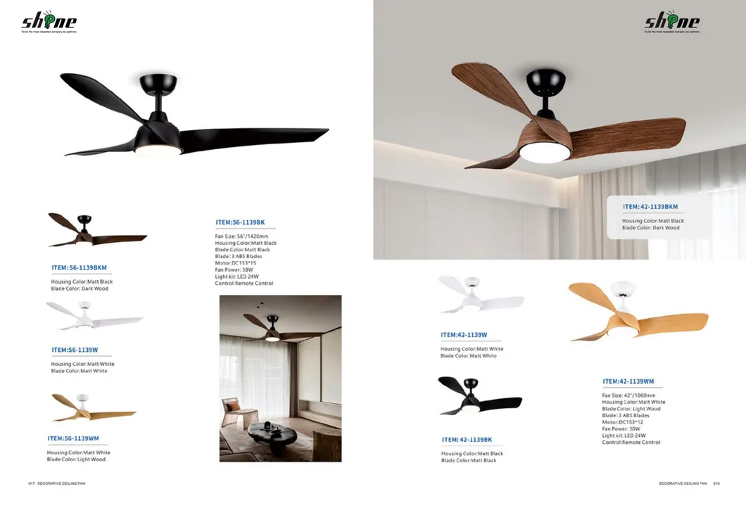 Detailed Fan Photo 14