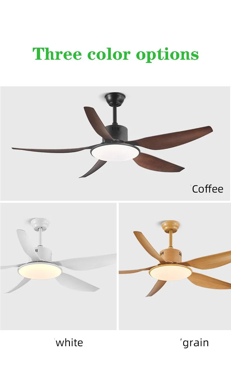 Ceiling Fan Light 1
