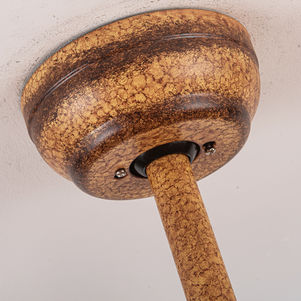 Product Detail 2