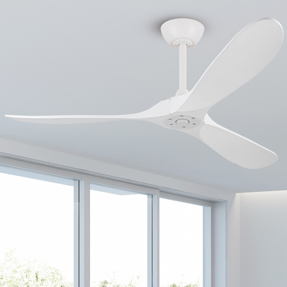 Ceiling Fan Detail 2