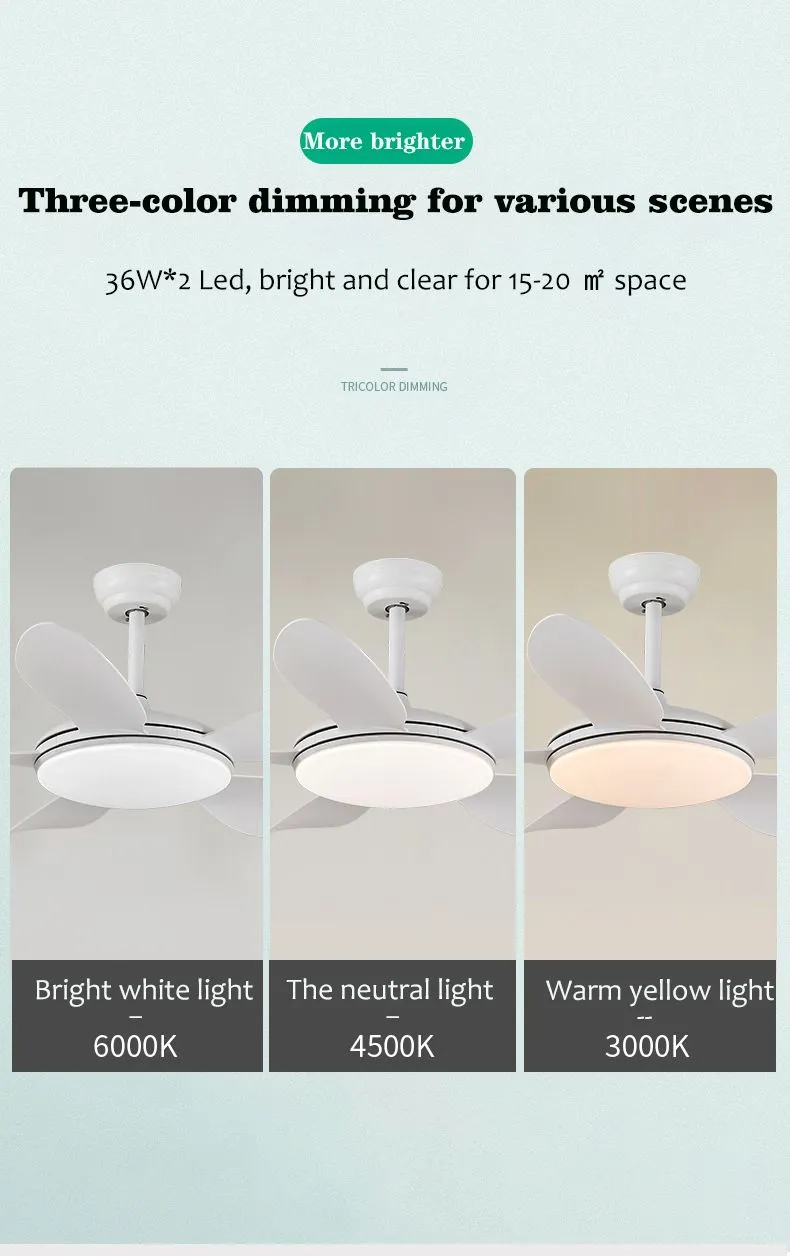 52 Inch Commercial Ceiling Fan Lamp