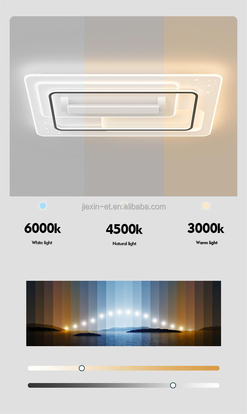 Modern Ceiling Fan Light