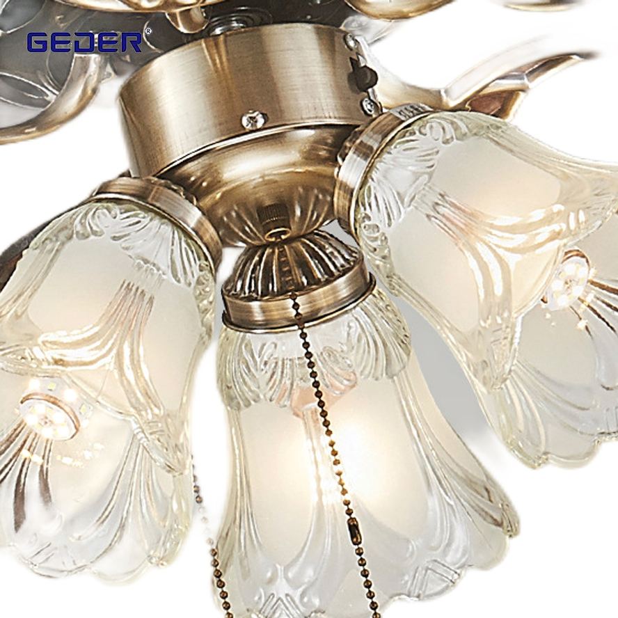 New Arrival Remote Control Fancy Decorative Ceiling Fan with Light