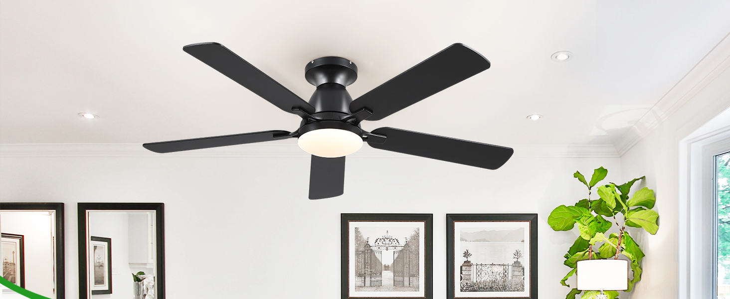 Ceiling Fan Image 1