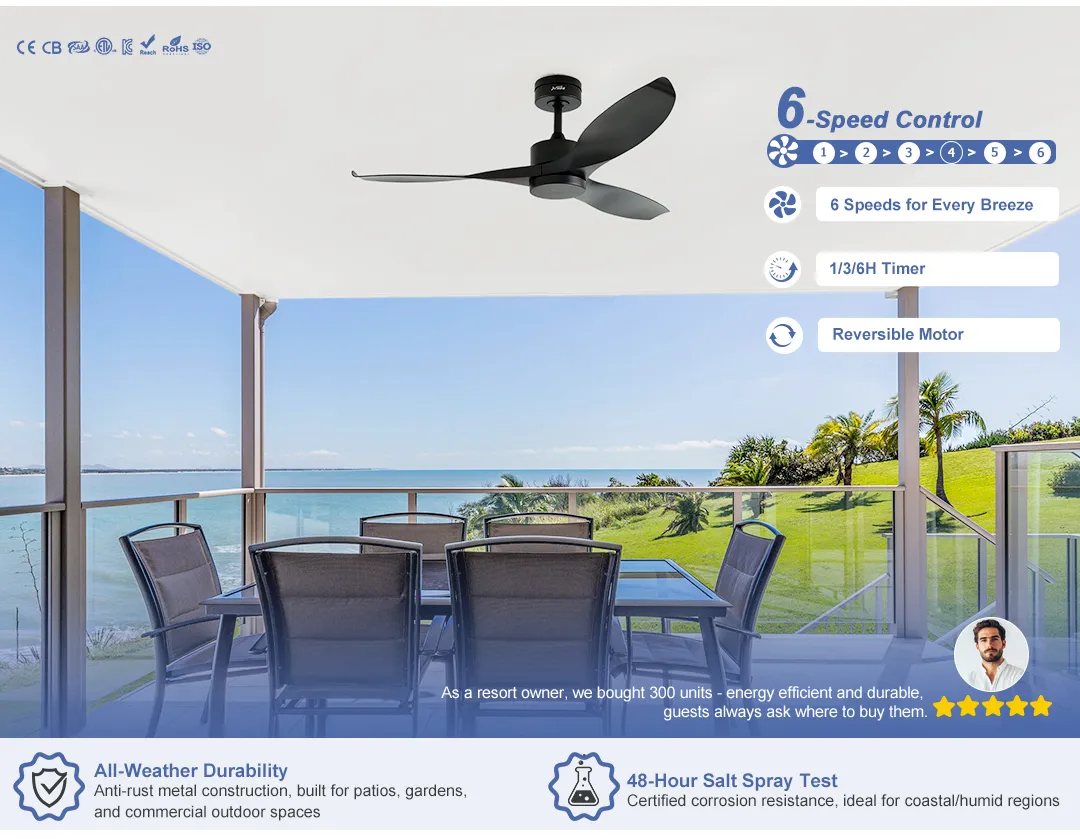 Ceiling Fan Waterproof IP65 Outdoor Smart Control Black Ceiling Fan With ABS Blades