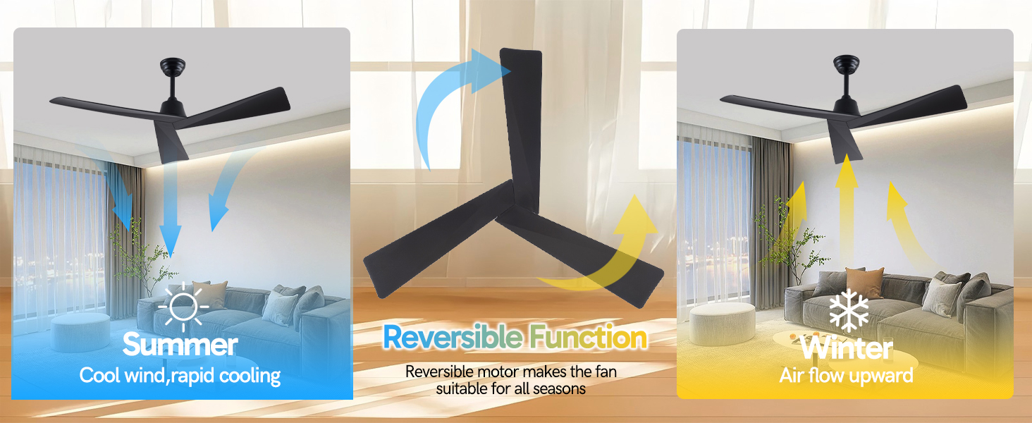 Product Detail Image 4