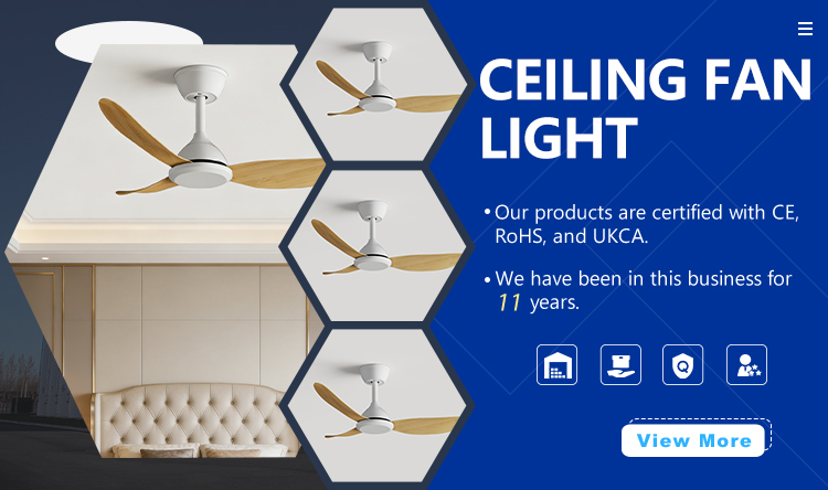Ceiling Fan Banner