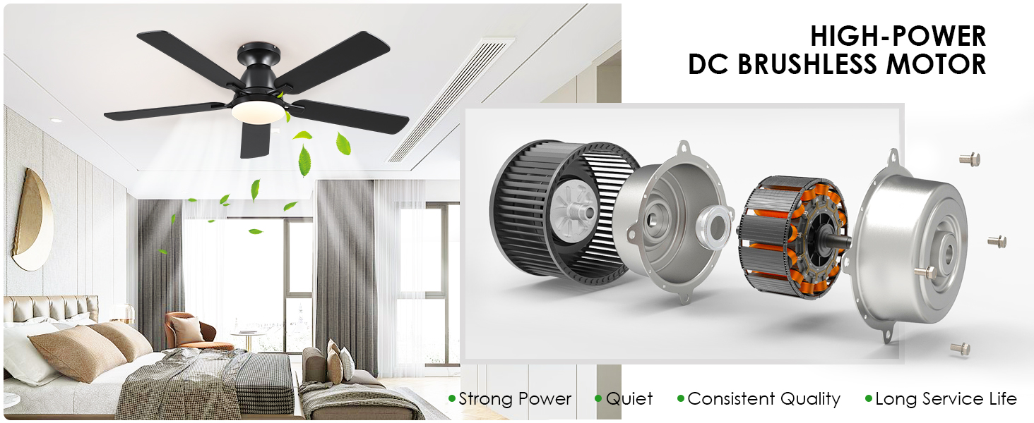 Ceiling Fan Image 6