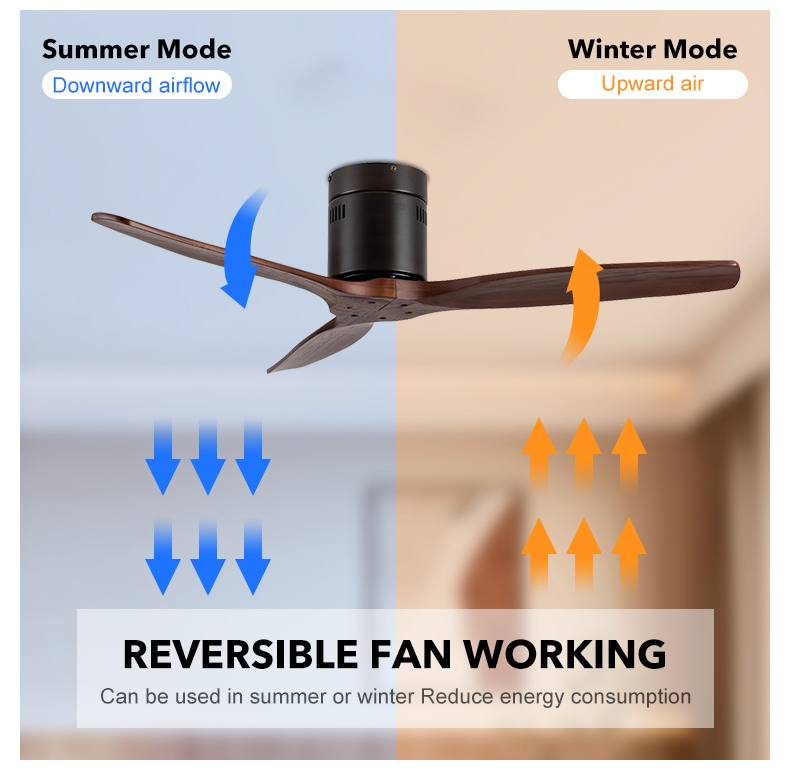 Remote Control Fan Specification