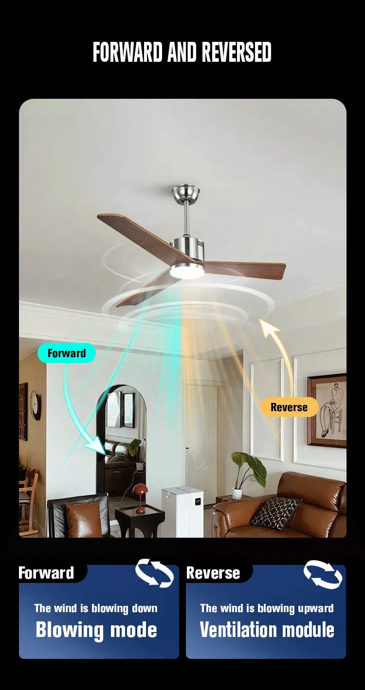 Luxury Ceiling Fan 8