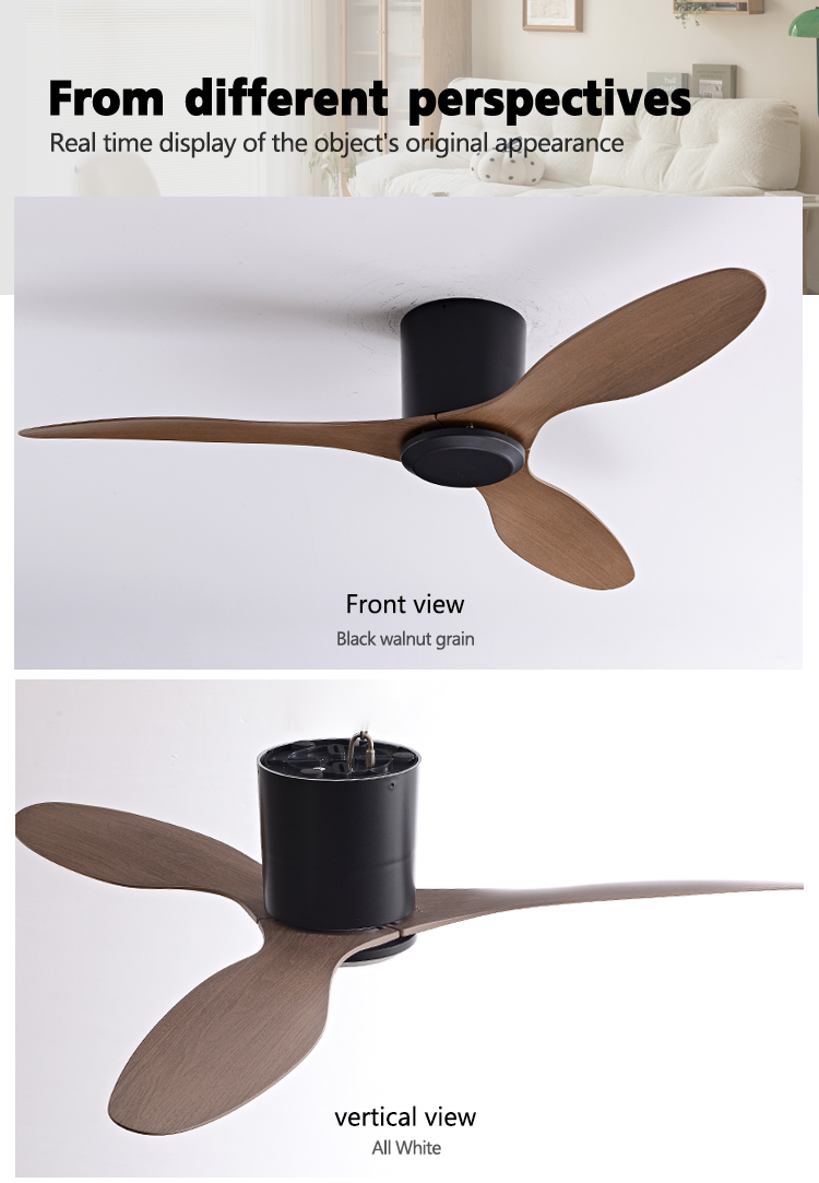 Ceiling Fan Usage Showcase 3