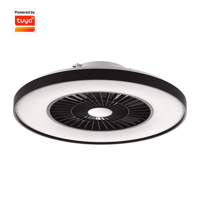 High Quality Tuya Control Modern Smart LED Ceiling Fan with Light