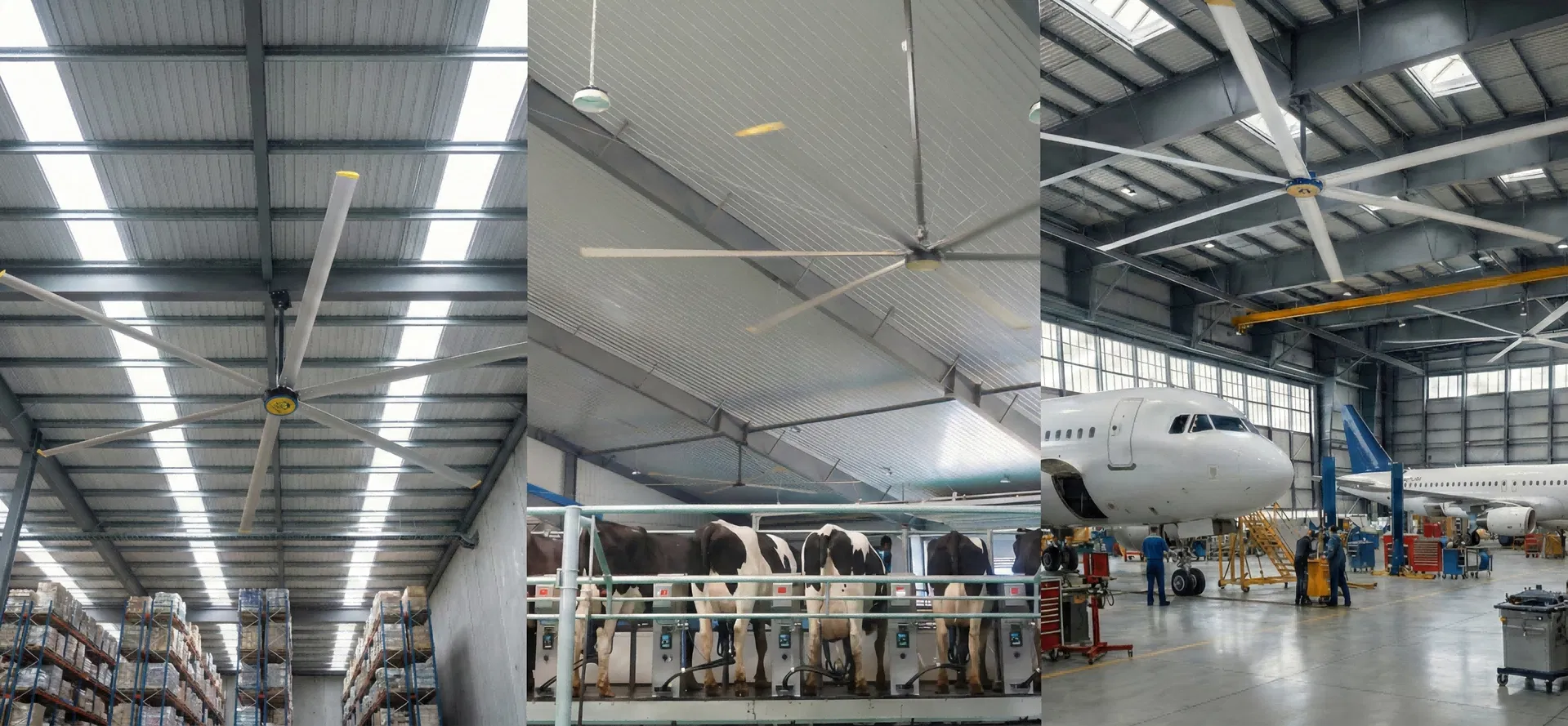 Industrial Ceiling Fan Applications in Warehouse, Gym and Factory Space
