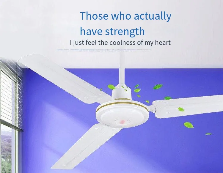 Ceiling Fan Structure