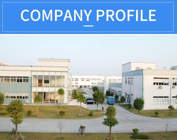 Company Profile
