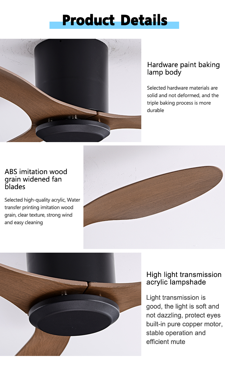 Ceiling Fan Feature 1
