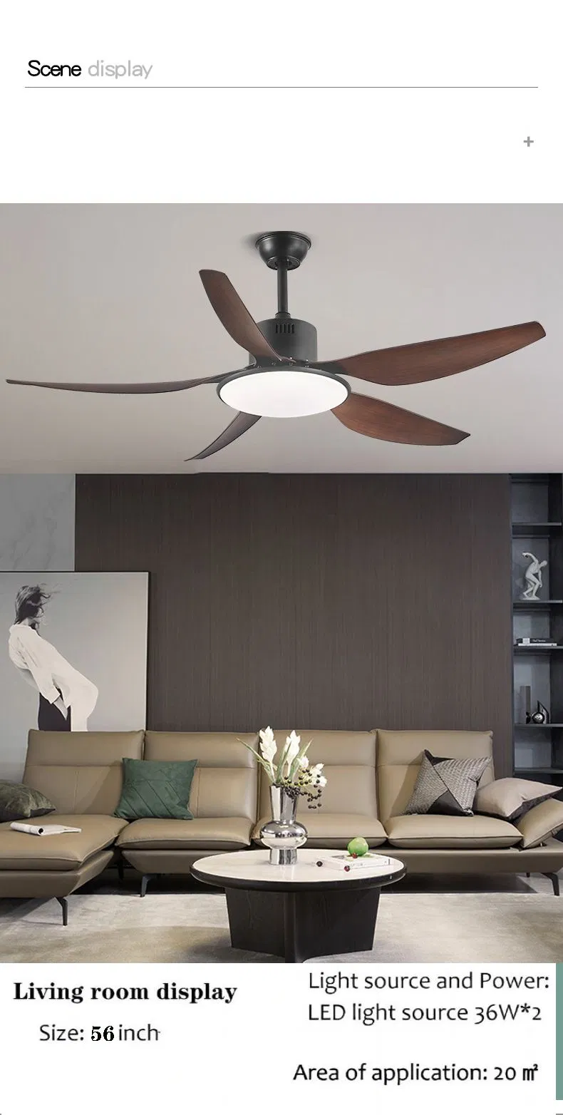 Ceiling Fan Light 5