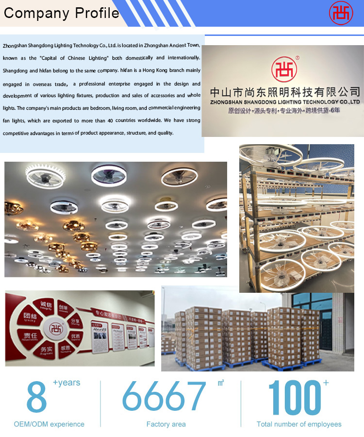 Company Information